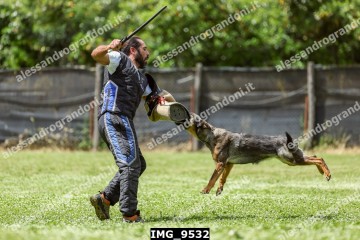 IMG_9532.jpg