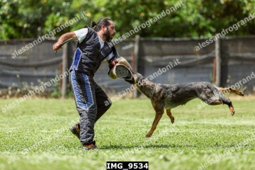 IMG_9534.jpg