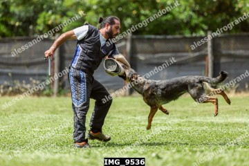 IMG_9536.jpg