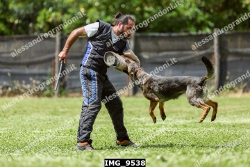 IMG_9538.jpg