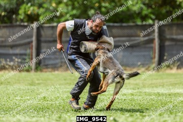 IMG_9542.jpg