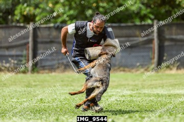 IMG_9544.jpg