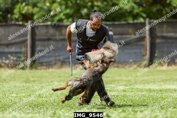IMG_9546.jpg