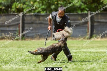 IMG_9548.jpg