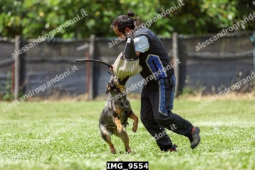 IMG_9554.jpg
