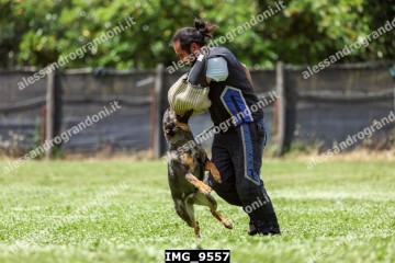 IMG_9557.jpg