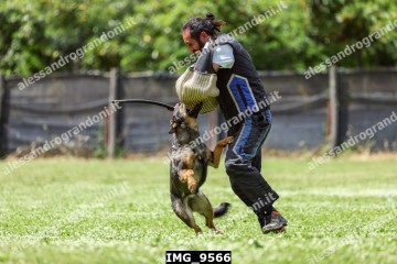 IMG_9566.jpg