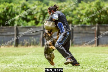IMG_9574.jpg