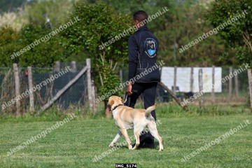 IMG_5174.jpg