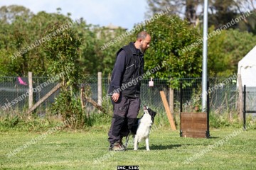 IMG_5340.jpg