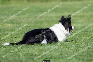 IMG_5464.jpg