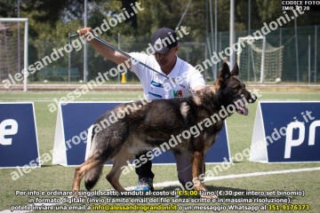 IMG_2128.jpg