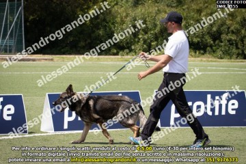 IMG_2155.jpg