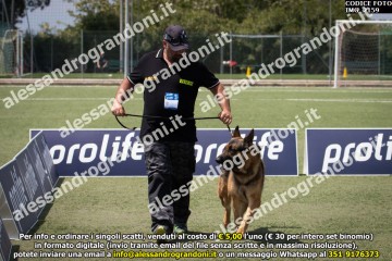 IMG_2159.jpg