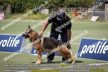 IMG_2163.jpg