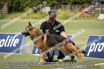 IMG_2165.jpg