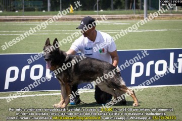 IMG_2168.jpg