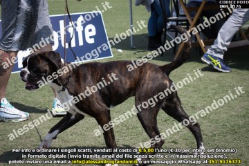 IMG_2176.jpg