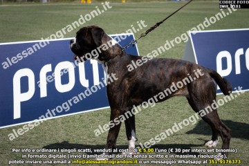 IMG_2181.jpg
