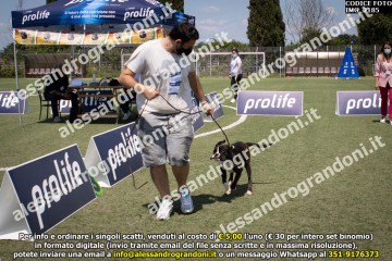 IMG_2185.jpg