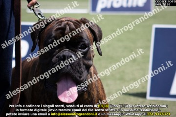IMG_2189.jpg