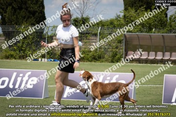 IMG_2200.jpg