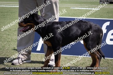 IMG_2203.jpg