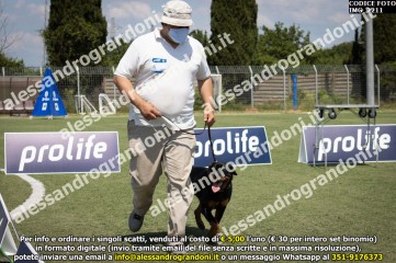 IMG_2211.jpg