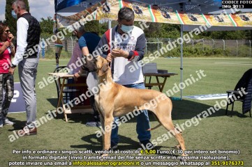 IMG_2213.jpg