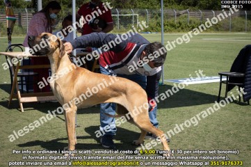 IMG_2215.jpg