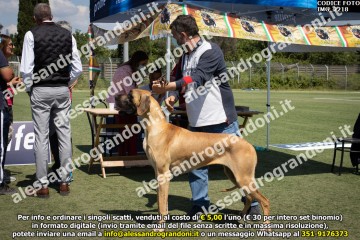 IMG_2218.jpg