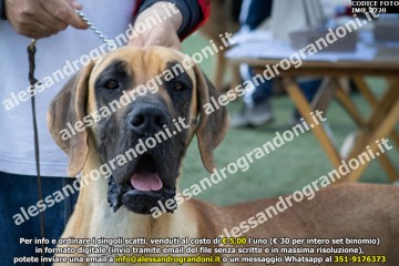 IMG_2220.jpg
