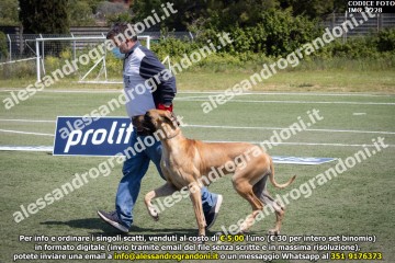 IMG_2228.jpg