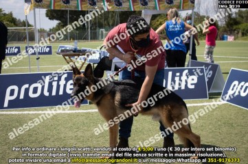 IMG_2239.jpg
