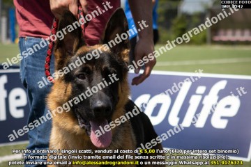 IMG_2242.jpg