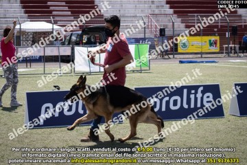 IMG_2245.jpg