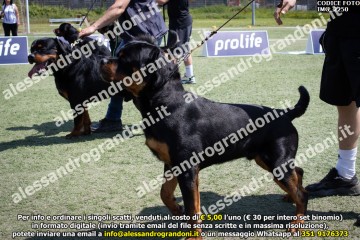 IMG_2250.jpg