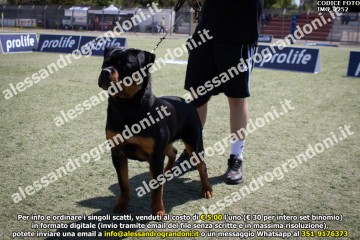 IMG_2252.jpg