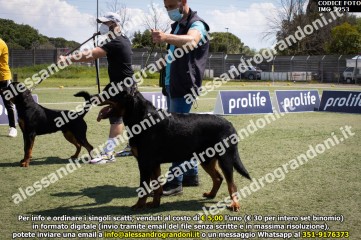 IMG_2253.jpg