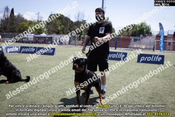 IMG_2256.jpg