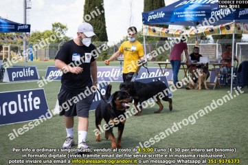 IMG_2281.jpg