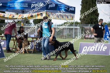 IMG_2286.jpg