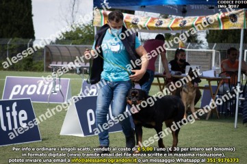 IMG_2287.jpg