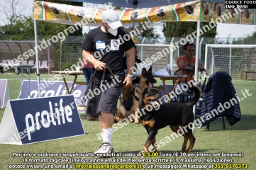 IMG_2288.jpg