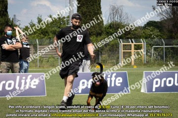 IMG_2296.jpg