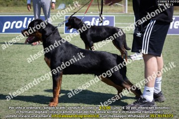 IMG_2313.jpg