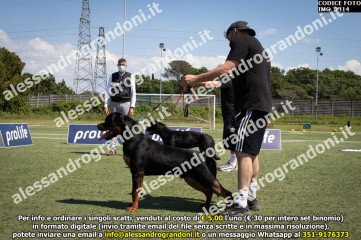 IMG_2314.jpg