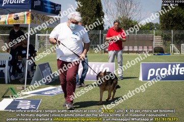 IMG_2326.jpg