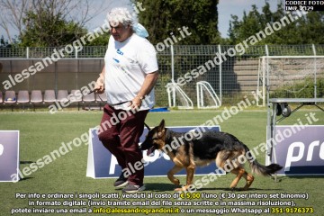 IMG_2329.jpg
