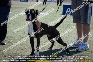 IMG_2332.jpg